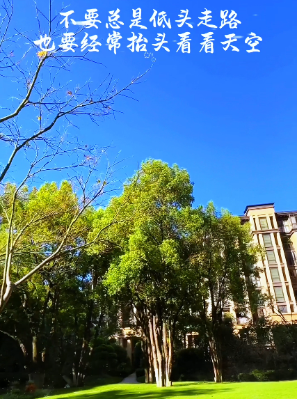 大本营早餐来了