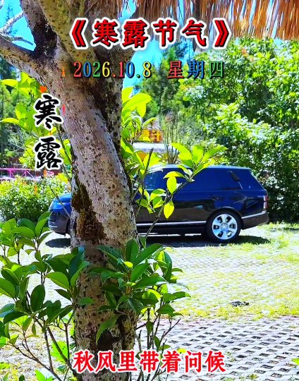 大本营早餐来了