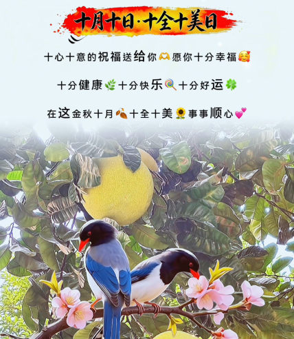 大本营早餐来了