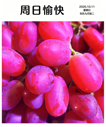 大本营早餐来了