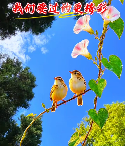 大本营早餐来了