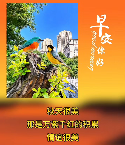 大本营早餐来了